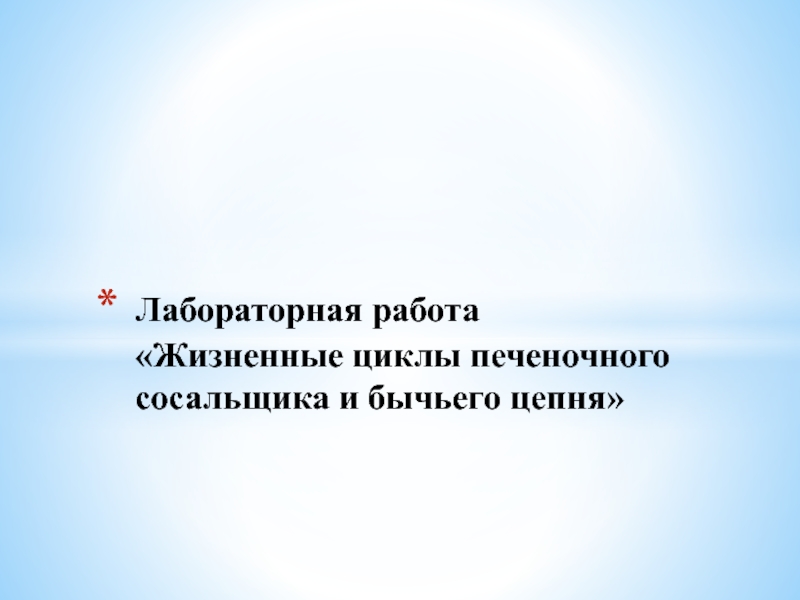 Лабораторная работа 