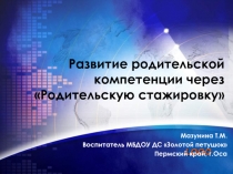 Развитие родительской компетенции через Родительскую стажировку