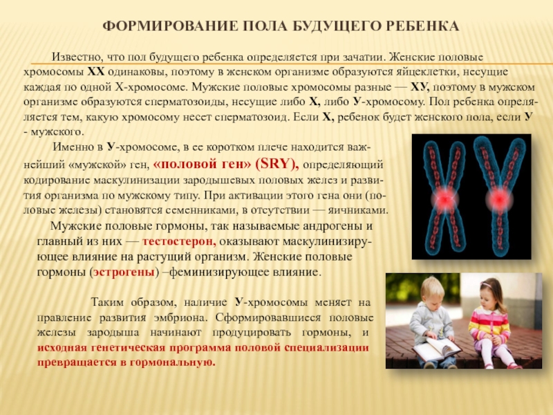 ГОСУДАРСТВЕННО Автономное образовательное учреждение высшего образования Формирование пола будущего ребенка   Известно, что пол будущего ребенка определяется Формирование пола будущего ребенка     Известно, что пол будущего ребенка определяется при зачатии. Женские половые