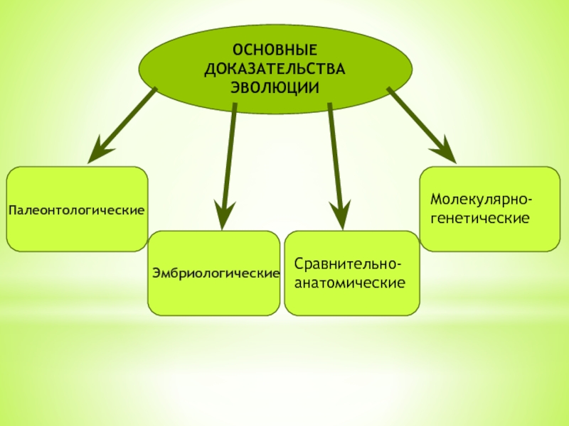 Основные доказательства эволюции презентация