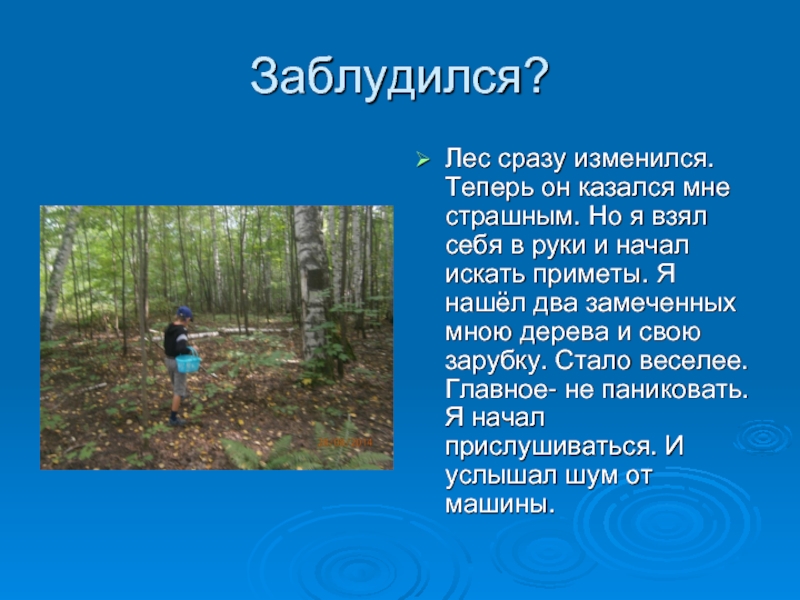 Начал искать. Приметы в лесу. Заблудился в лесу презентация. Ориентир для заблудившихся в лесу. Ориентиры в лесу если потерялся.