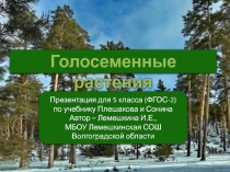 Голосеменные растения 5 класс