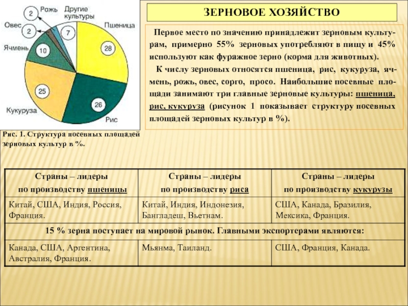 Зерновые культуры таблица. Страны по производству зерновых культур. Лидеры в производстве зерновых культур. Страны Лидеры по производству пшеницы. Зерновые культуры страны Лидеры.