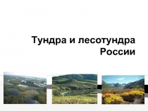 Тундра и лесотундра России