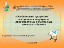 Методический материал Особенности процессов восприятия, ощущения, представлений у умственно отсталых детей