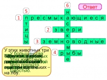 Группы животных. Моллюски, насекомые, паукообразные 2 класс