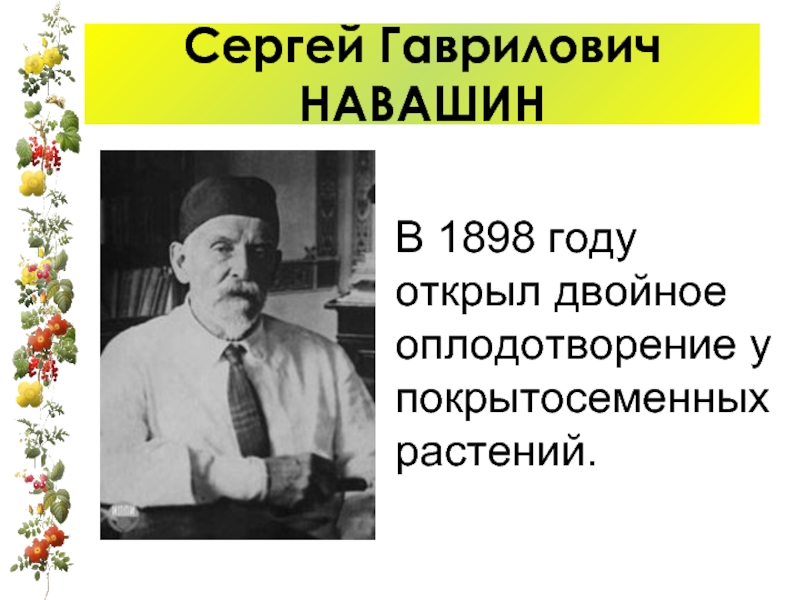 Сергей Гаврилович НАВАШИНВ 1898 году открыл двойное оплодотворение у покрытосеменных растений.