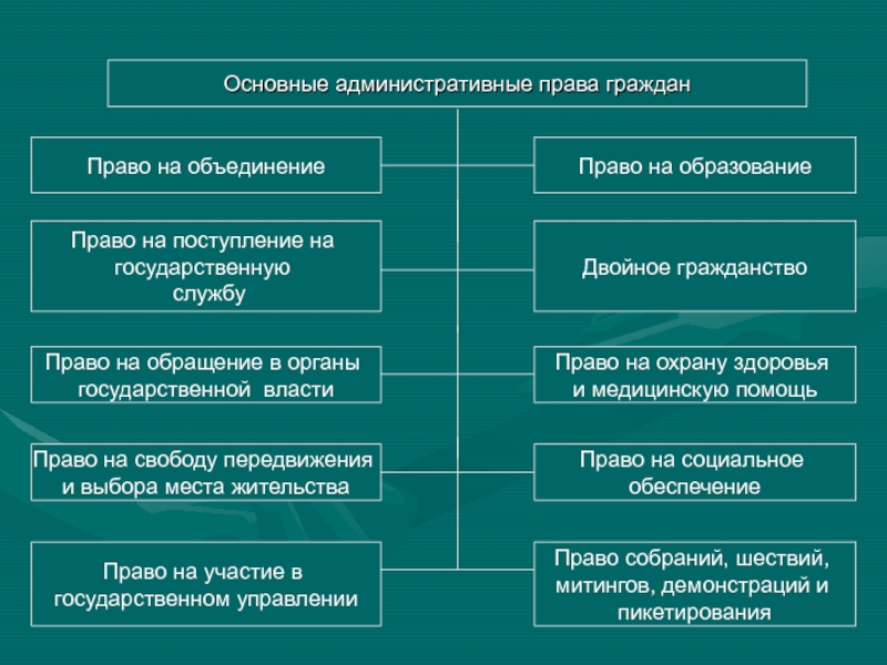 Современное российское административное право призвано юридически регулировать составьте план текста