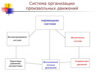 Система организации произвольных движений