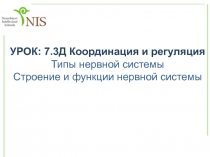 УРОК: 7.3Д Координация и регуляция
Типы нервной системы
Строение и функции