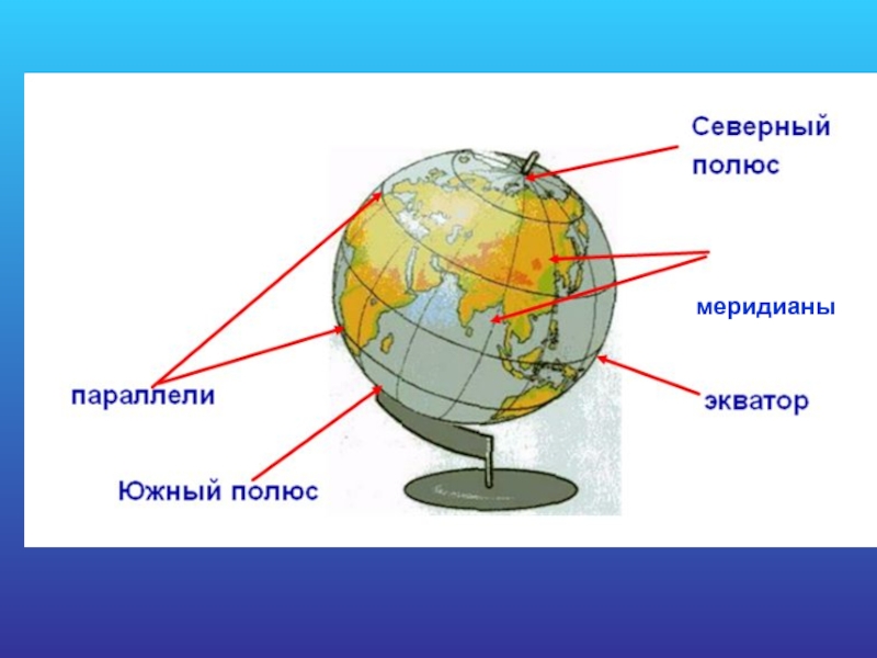 Параллель карта меридиан экватор полюс что лишнее