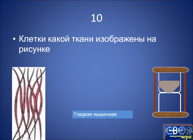 На рисунке изображена ткань. Клетки какой ткани изображены на рисунке. Ткань изображенная на рисунке. Ткань в клетку рисунок. На этом рисунке изображены клетки какой ткани.