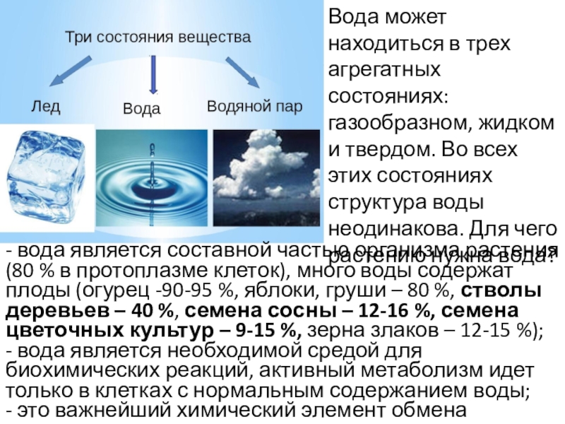 Три агрегатных состояния