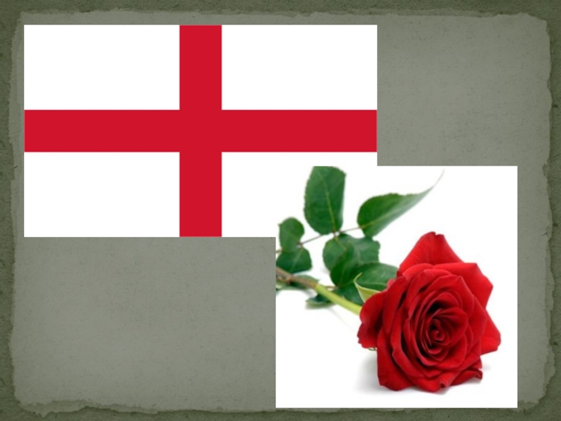 Символ великобритании 5. Символы Великобритании. Флористический символ Англии.