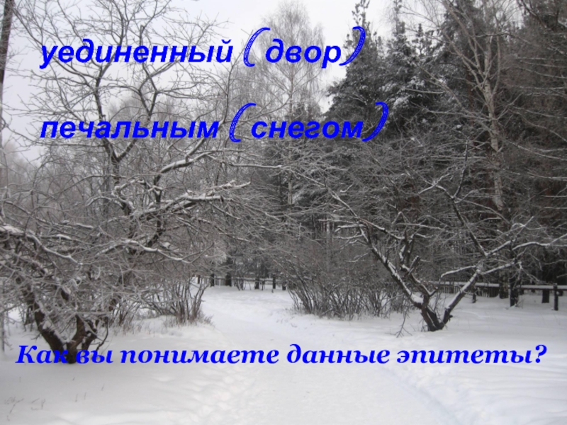 Пушкин зимнее утро эпитеты. Двор уединенный печальным снегом занесенный. Печальным снегом занесенный. Первый снег эпитеты. Эпитеты к первому снегу.