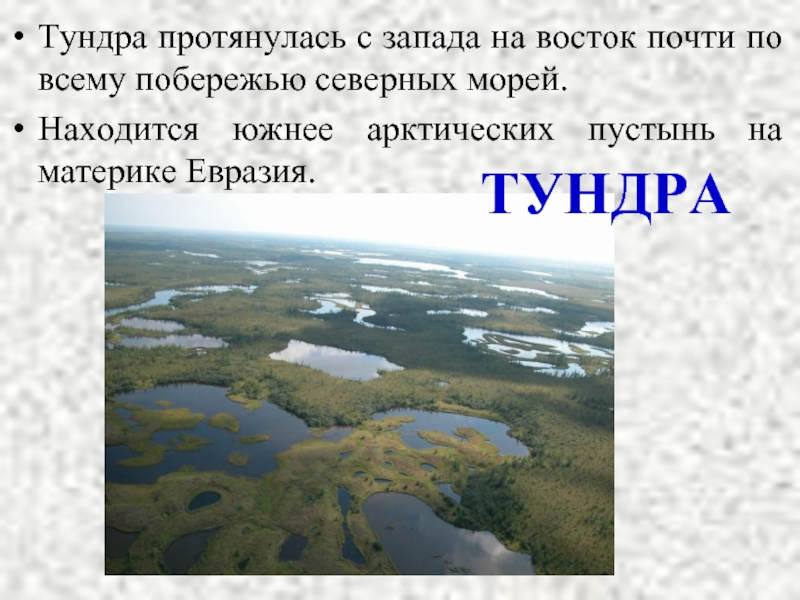 Зона тундр располагается на севере россии