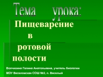 Пищеварение в ротовой полости