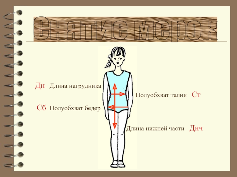 Днч. Полуобхват бедер. Полуобхват талии. Полуобхват бедер как измерить. Как измеритьпрлуобхват бедер.