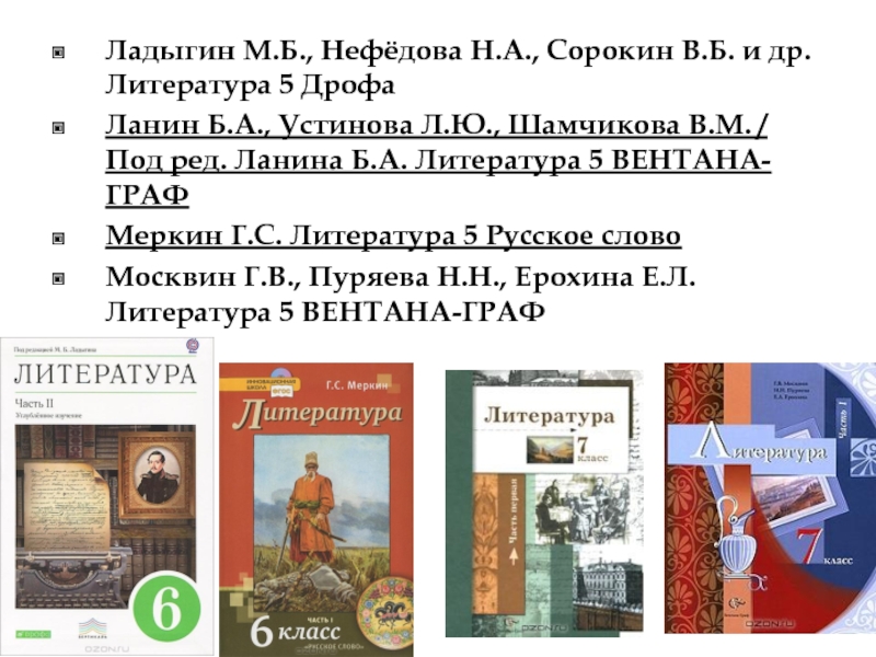 Решебник по литературе 10 класс