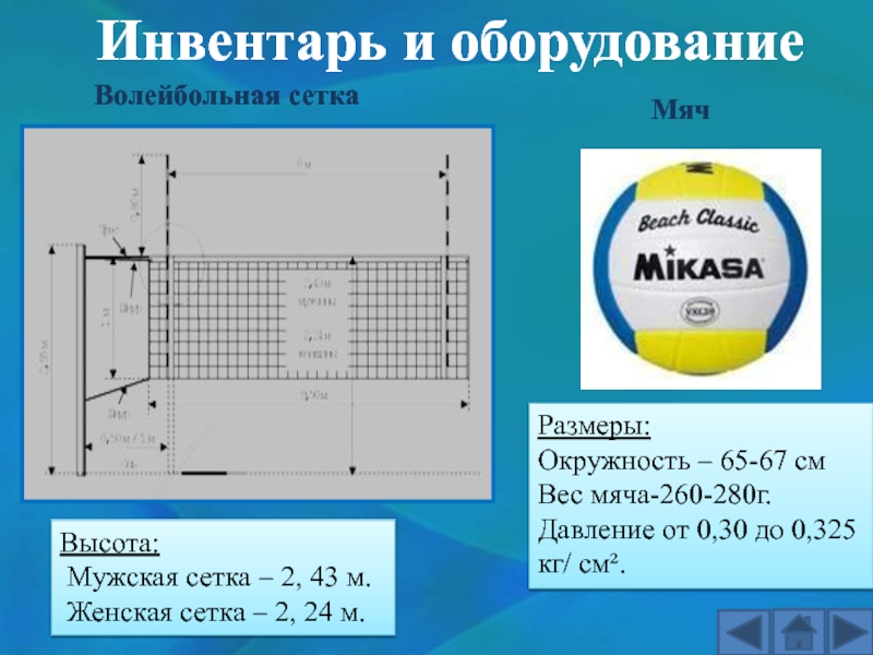 Grid height. Высота мужской сетки в волейболе. Волейбольная сетка Размеры. Стандарт сетки для волейбола мужская высота. Длина сетки в волейболе.