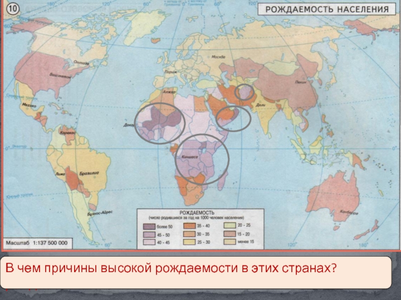 Карта рождаемости мира и смертности