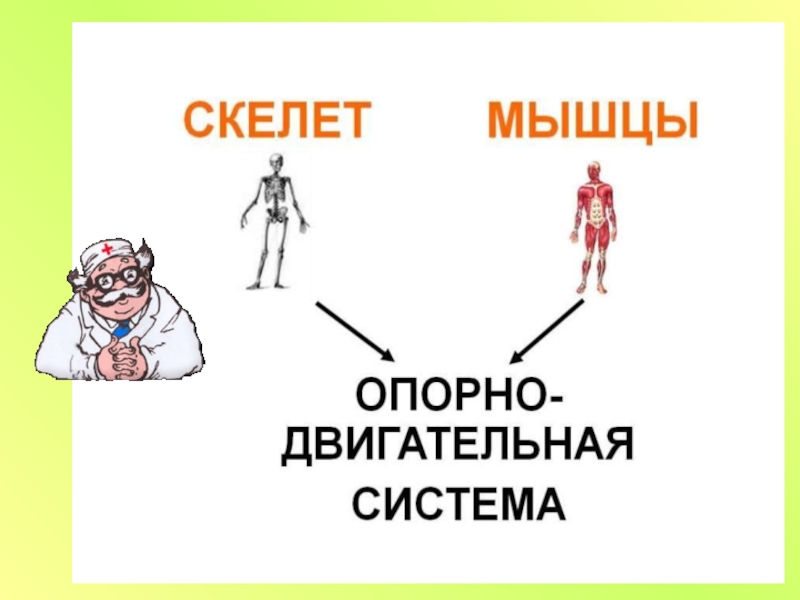 Опора тела и движение 3 класс