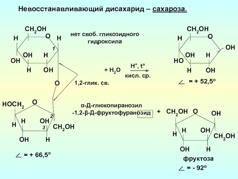 Фруктоза вступает в гидролиз. Невосстанавливающие дисахариды реакции. Фруктоза невосстанавливающий дисахарид. Невосстанавливающие дисахариды сахароза. Гликозидный гидроксил фруктозы.