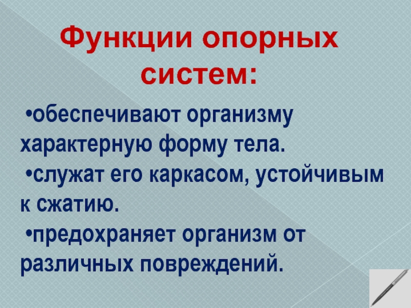 Опора тела организмов 10 класс презентация