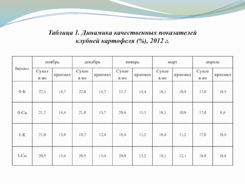 Накопление крахмала в клубнях картофеля