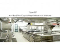 Лекция№4
Тема: Устойчивость функционирования объектов экономики