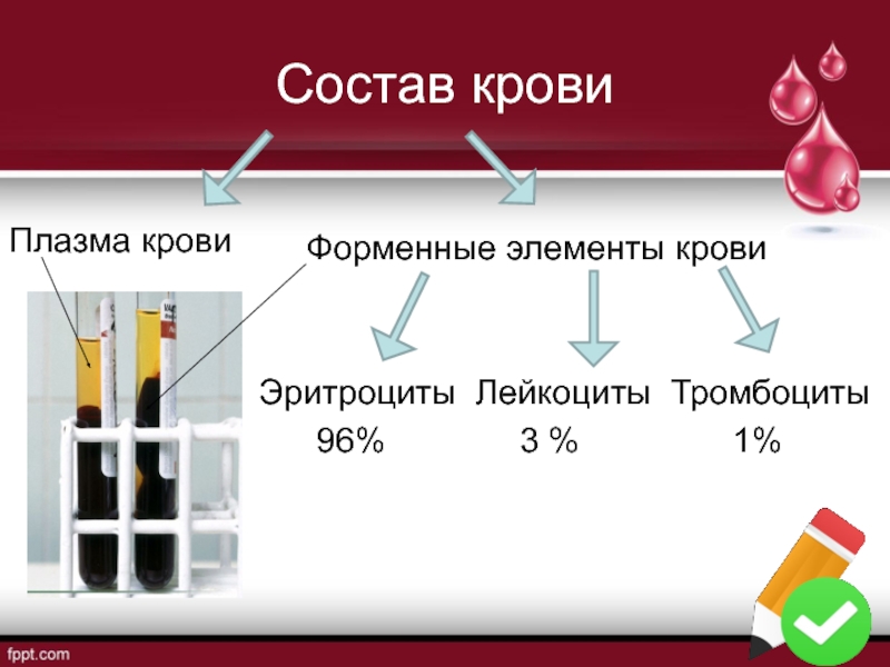 Плазма крови презентация