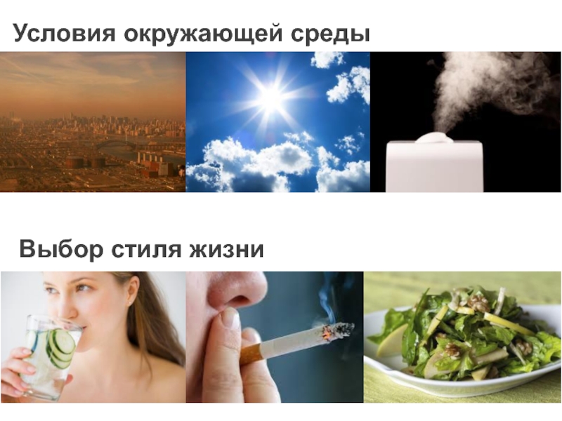 Выбор среды