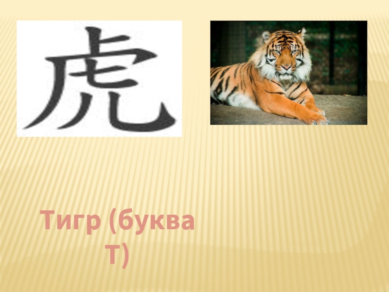 Тигр (буква Т)