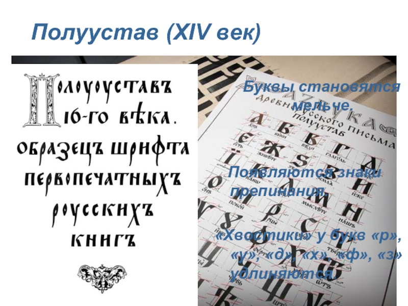 Века буквами. Полуустав XIV век. Поморский полуустав. Полуустав буквы. Полуустав алфавит.