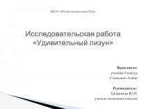 Исследовательская работа «Удивительный лизун»