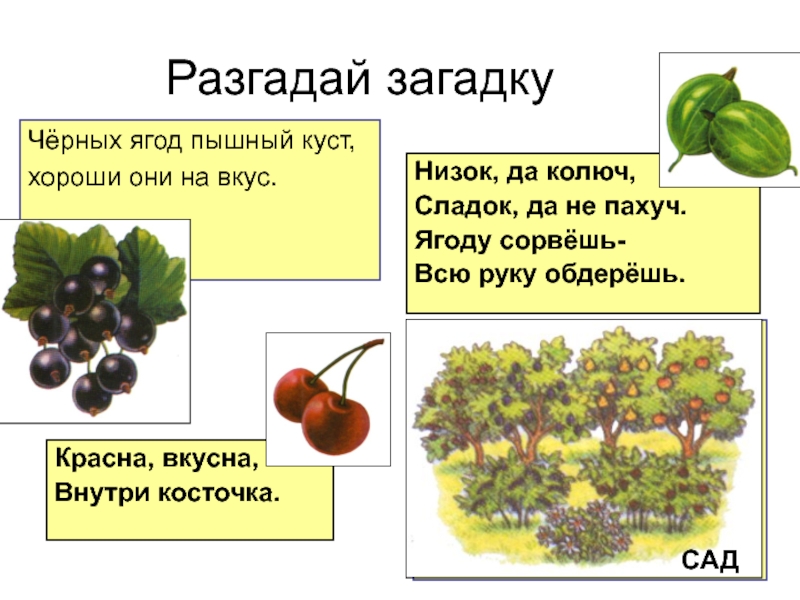 Отгадай загадку когда покупаешь черный когда