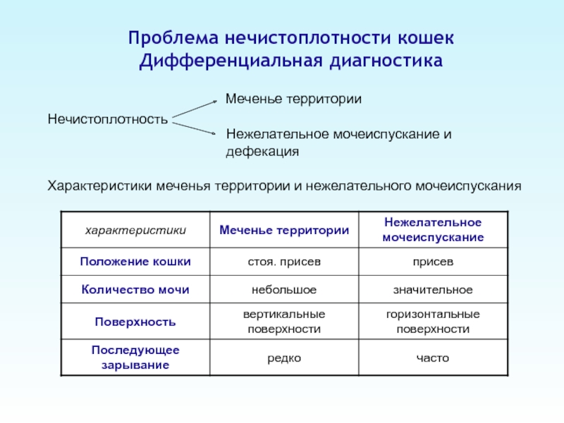 Положение мочеиспускания. Характеристика мочеиспускания. Протокол наблюдения за кошкой акт уринации и дефекации. Физическая нечистоплотность. Признак нечистоплотности.