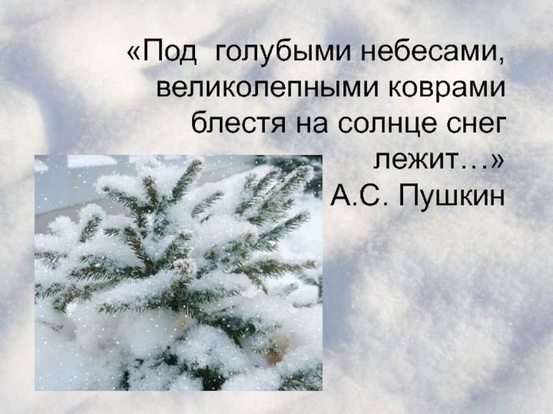 Исследование загрязнения снега в Ленинском районе г. Мурманска 4 класс