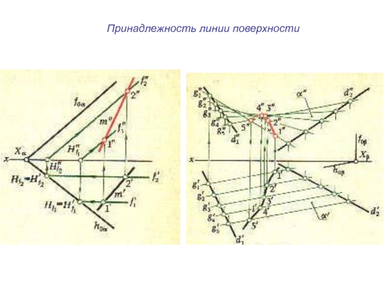 Линии и поверхности. Принадлежность линии поверхности. Признак принадлежности линии поверхности. Совокупность поверхностей линий и отдельных точек. Алгоритм принадлежности линии поверхности.