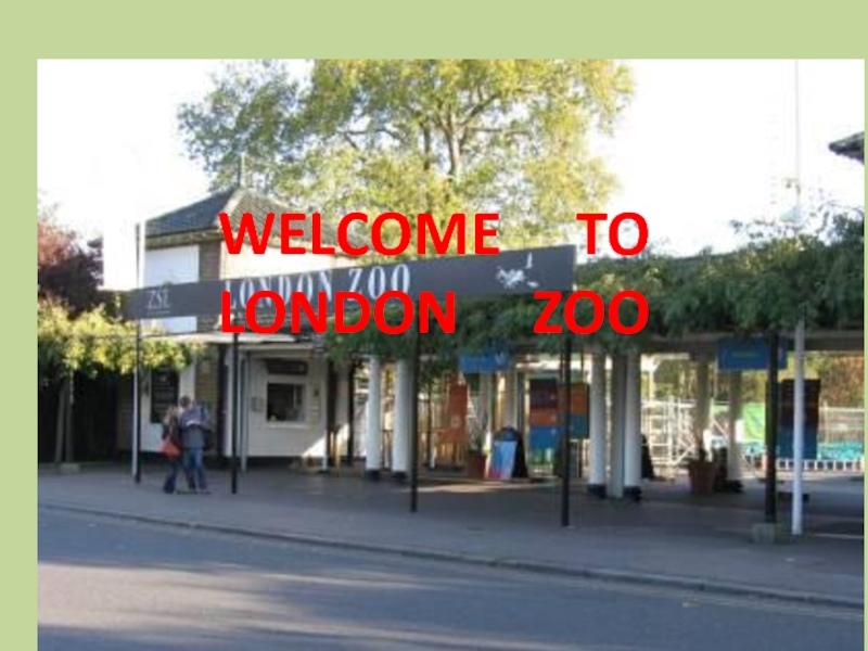 Презентация Welcome to London zoo