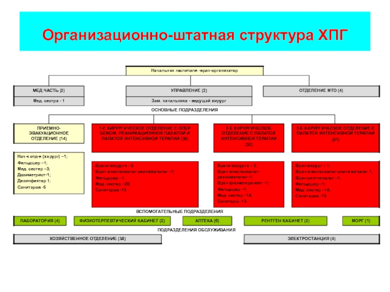 Организационно штатная структура образец