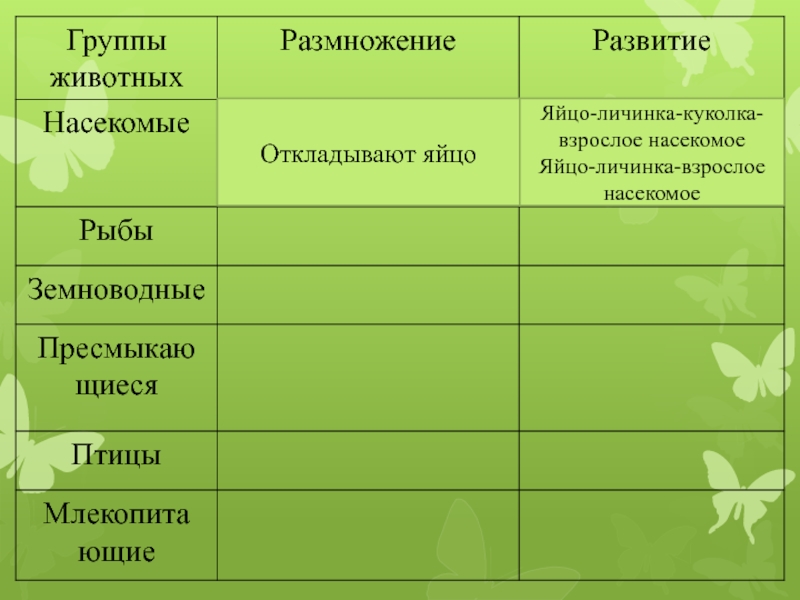 Окружающий мир тест размножение и развитие животных. Размножение насекомых таблица. Размножение и развитие насекомых. Развитие животных таблица. Размножение и развитие животных.