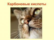 Карбоновые кислоты