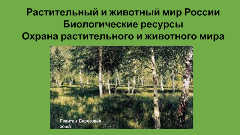 Растительный и животный мир России. Биологические ресурсы. Охрана растительного и животного мира