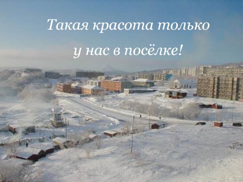 Бухта Завойко Петропавловск Камчатский