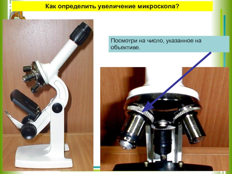 Как определить увеличение объектива. Объектив микроскопа. Увеличитель в микроскопе. Увеличение микроскопа.