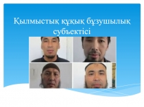 Қылмыстық құқық бұзушылық субъектісі