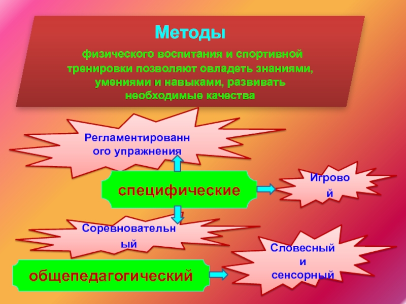 Физическое воспитание умения и навыки. Методы физического воспитания и спортивной тренировки. Методы физического воспитания в вузе. Тактильный метод в физическом воспитании. Словесные и сенсорные методы в физическом воспитании.