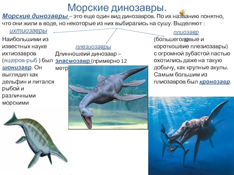 Виды водных динозавров в картинках