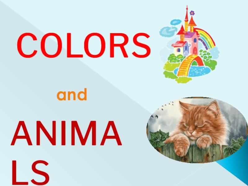 Интерактивный  тренажер Colors and Animals